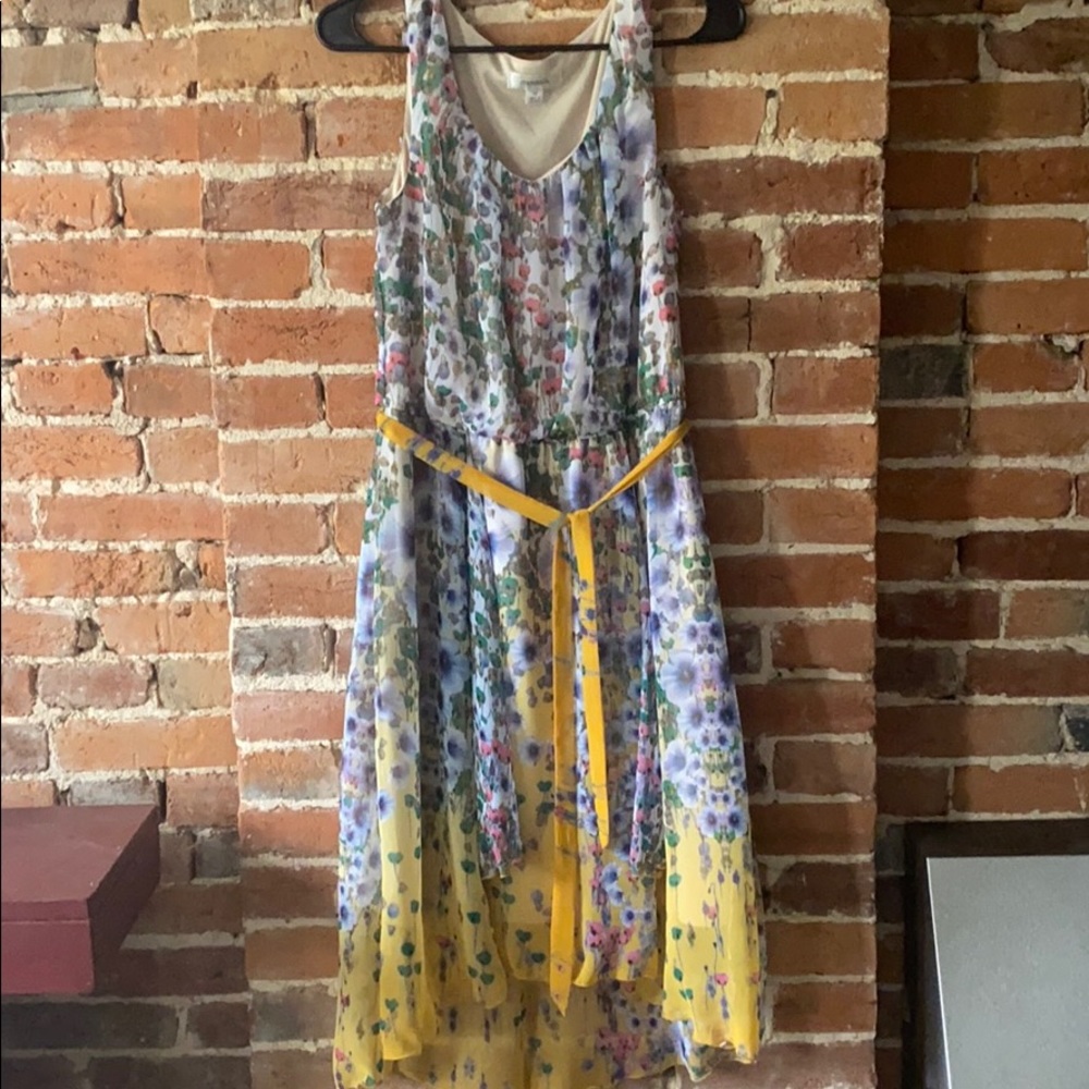 Good, used condition spring dress from Dressbarn